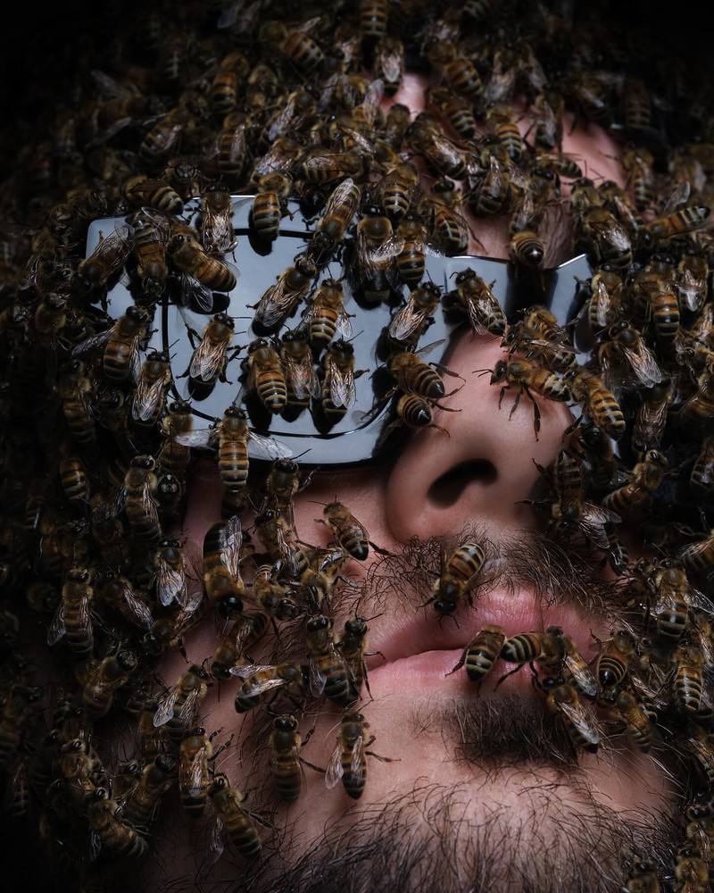 About - © Services Généraux