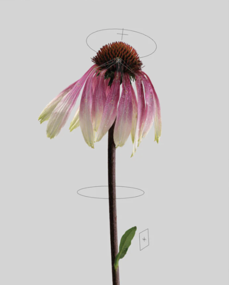 About - © Services Généraux