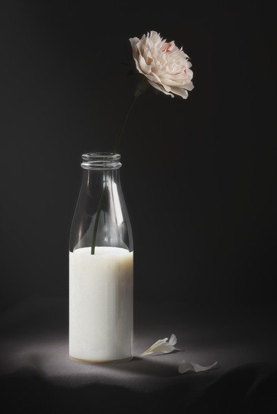 Issue 04 - © Services Généraux