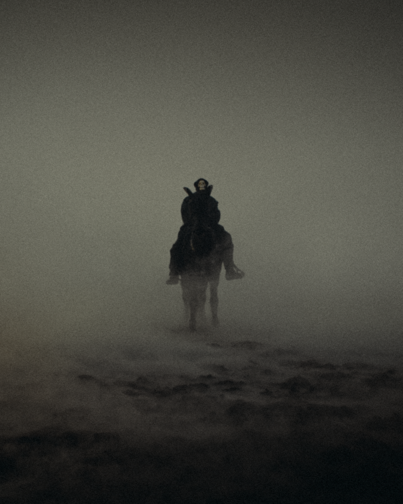 La Fève - © Services Généraux