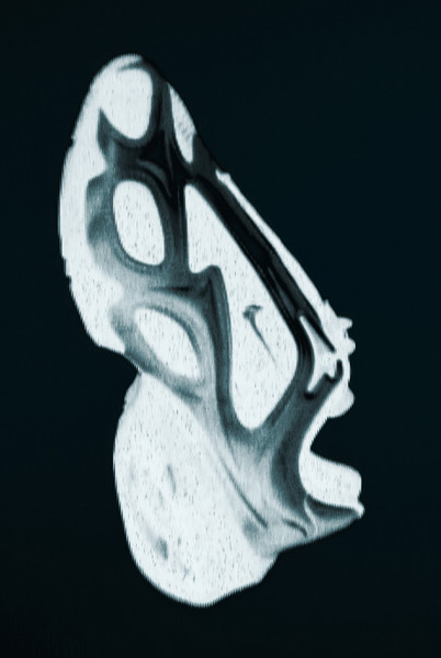 Nike Muse & Superfly - © Services Généraux