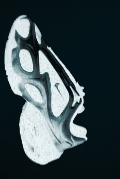 Nike Muse & Superfly - © Services Généraux