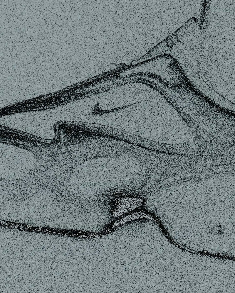Nike Muse & Superfly - © Services Généraux