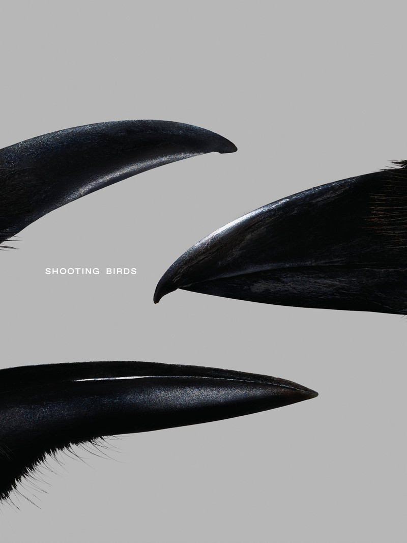 Shooting Birds - © Services Généraux