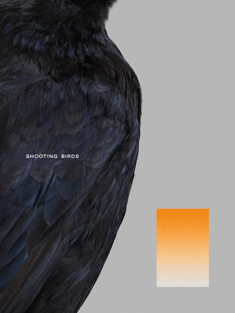 Shooting Birds - © Services Généraux