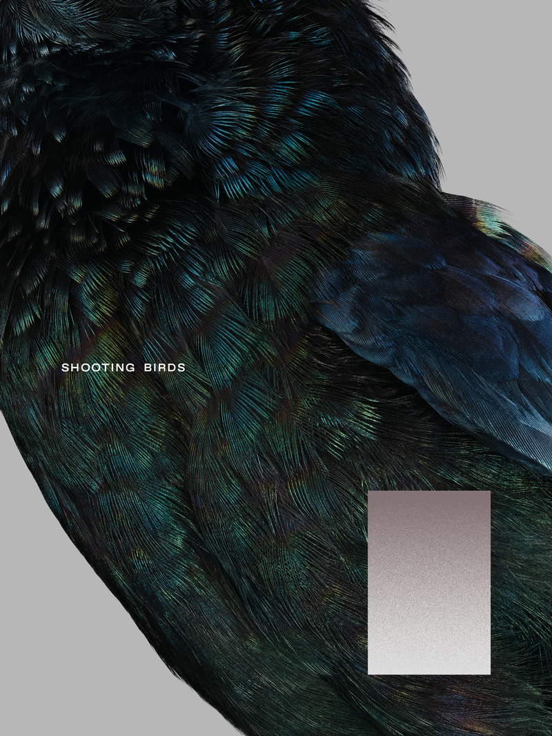 Shooting Birds - © Services Généraux