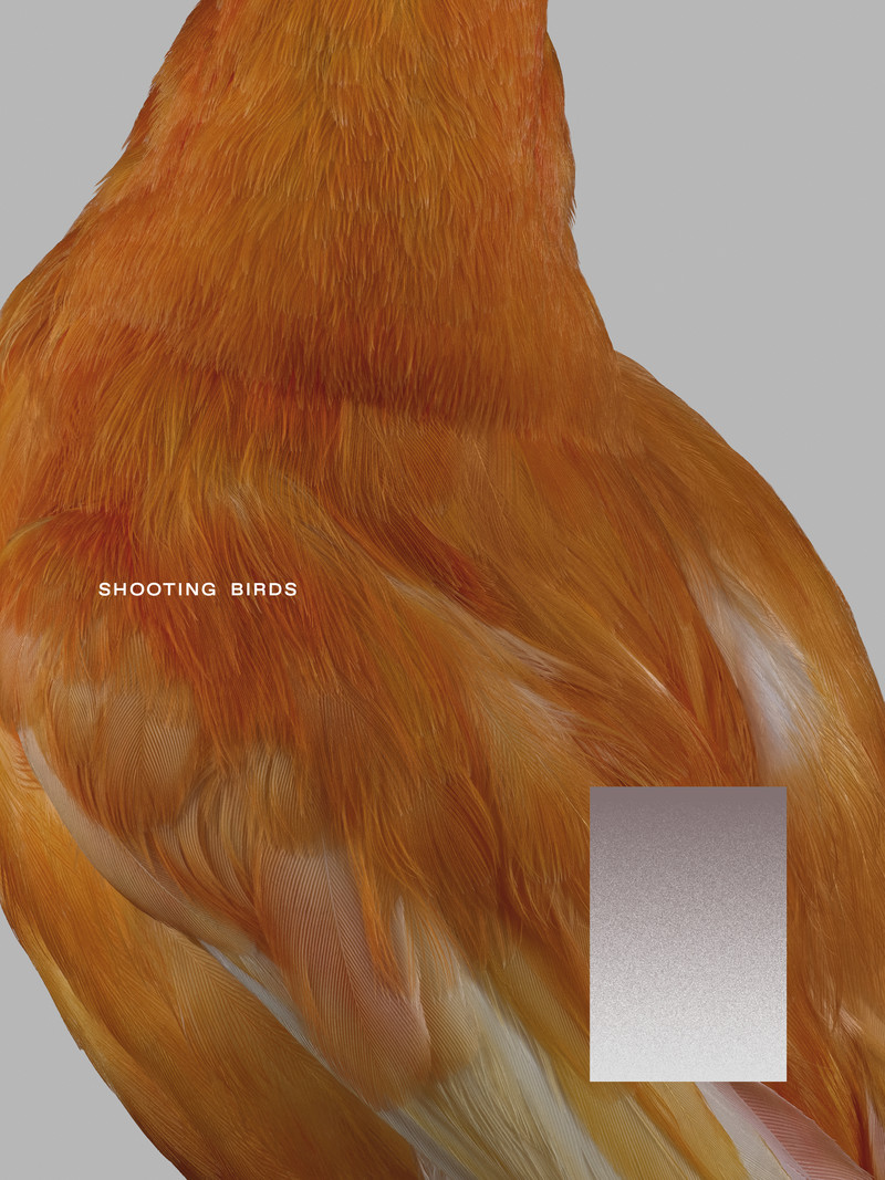 Shooting Birds - © Services Généraux