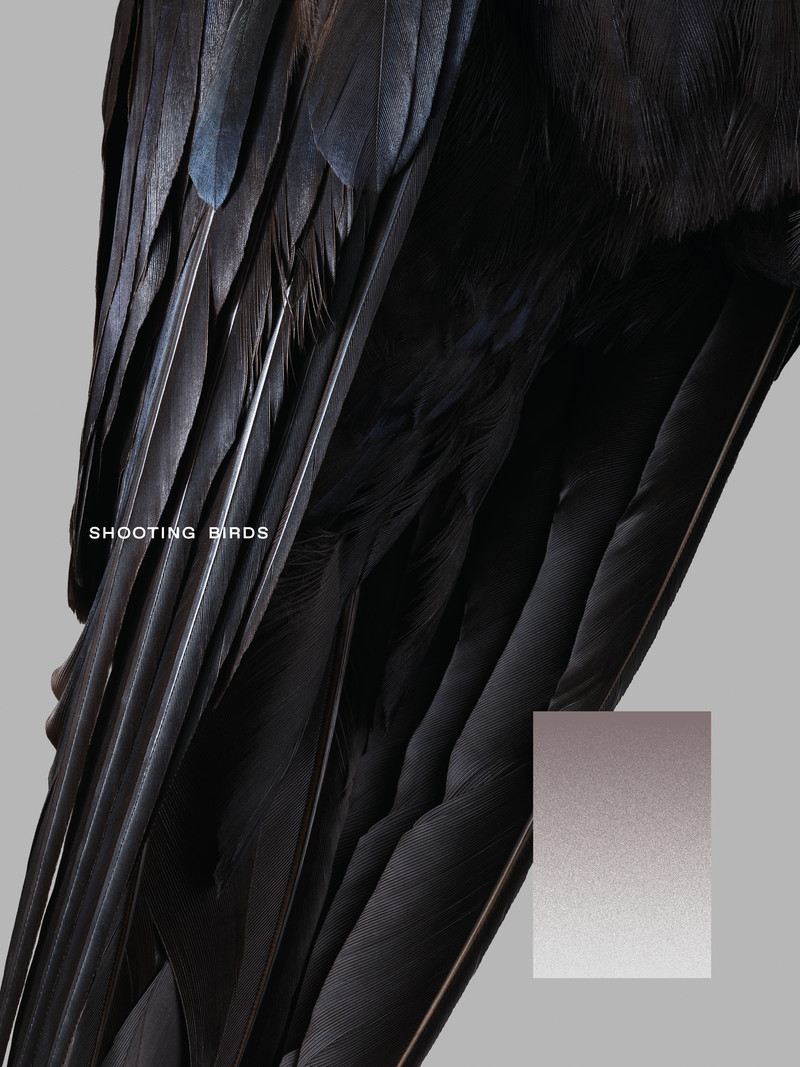 Shooting Birds - © Services Généraux