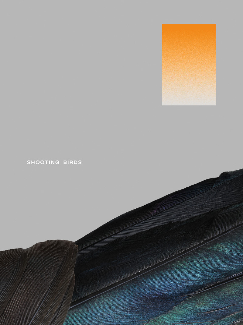 Shooting Birds - © Services Généraux