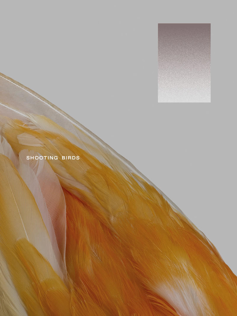 Shooting Birds - © Services Généraux