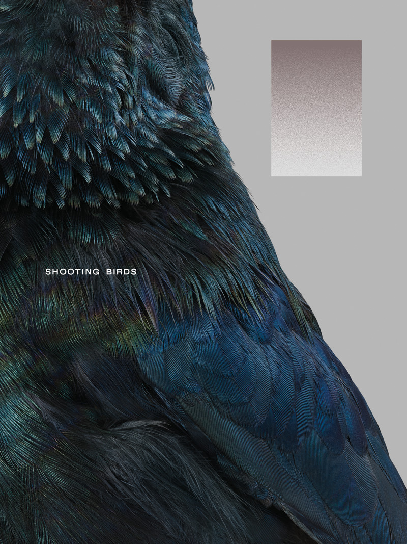 Shooting Birds - © Services Généraux