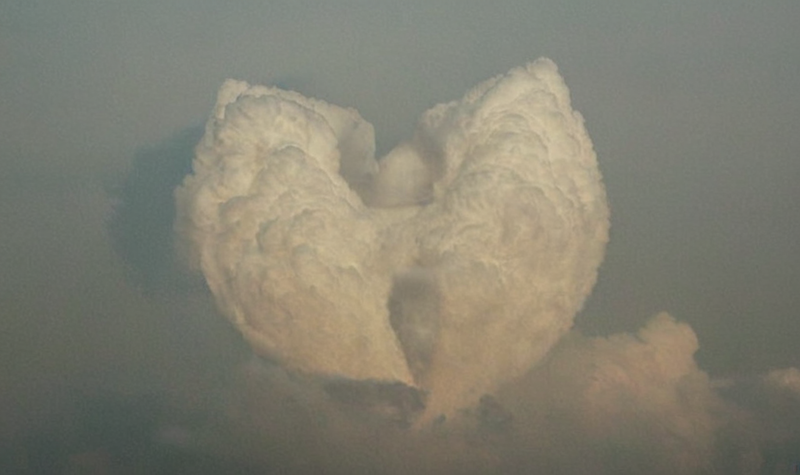 Wu-Tang - © Services Généraux